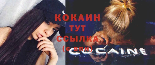 молекула духа Бородино