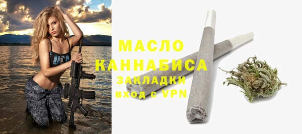 крисы Бронницы