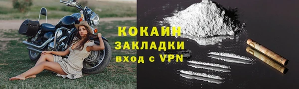крисы Бронницы