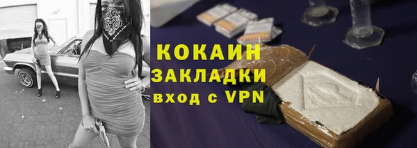 крисы Бронницы