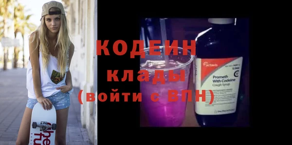 молекула духа Бородино