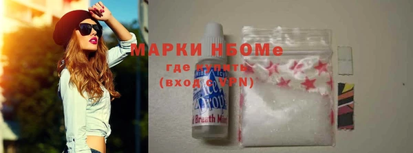 молекула духа Бородино