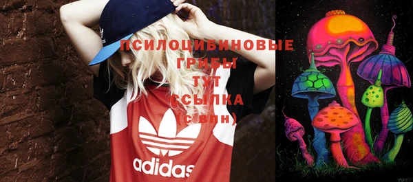 молекула духа Бородино