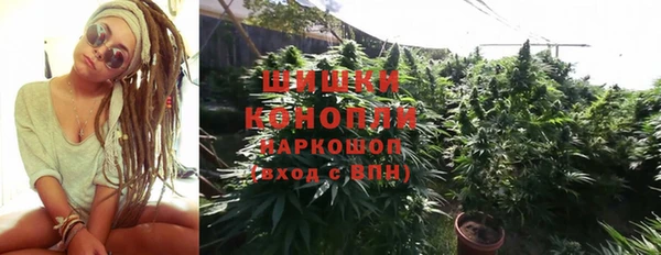 молекула духа Бородино