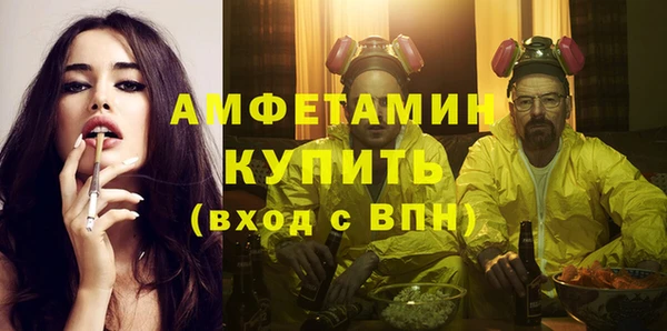крисы Бронницы