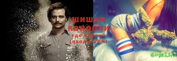 крисы Бронницы
