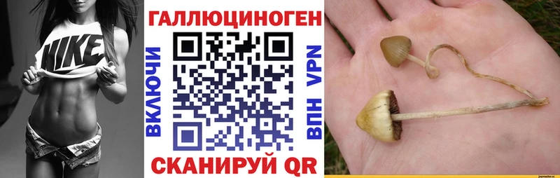 Галлюциногенные грибы мицелий  мега ССЫЛКА  Лыткарино 